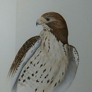 Meet your Posher, Wendy